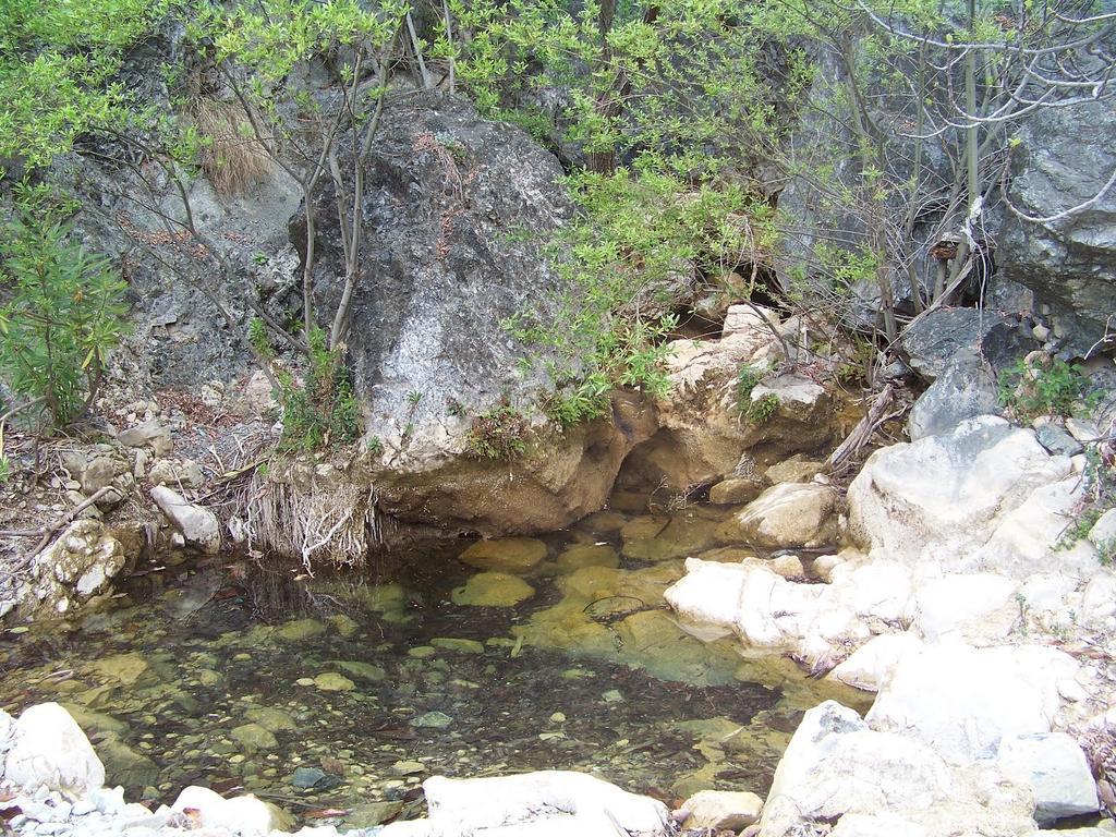 Hostal Sango Sierra De Las Nieves Alozaina Εξωτερικό φωτογραφία